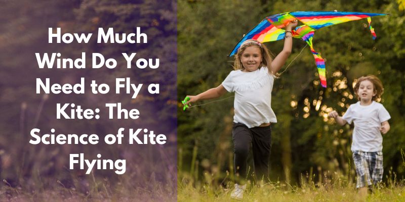 How Much Wind Do You Need to Fly a Kite: The Science of Kite Flying