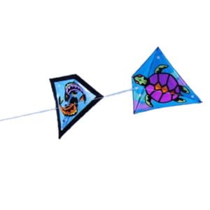 Diamond Kites